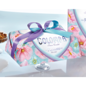 COLOMBE SANS FRUITS CONFITS<br/>750 Grammes
