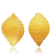 CONCHIGLIE RIGATE 5KG