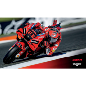 PANETTONE GLACE CAPPELLIERA DUCATI 1 KG